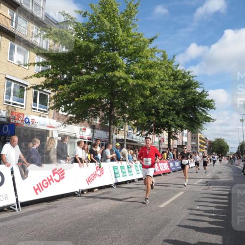 15.09.2024 - PSD Bank Halbmarathon Miley Keyser http://msf.ph/oto/7087766 15.09.2024 11:55:47 Ziel 705, 1248, 1517, 1660, 1891, 2172, 2181, 2217, 2716, 2853, 3001, 3150 meine-sportfotos.de