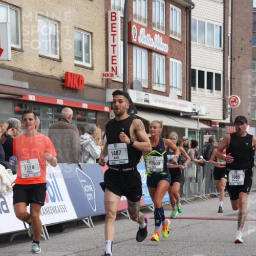 15.09.2024 - PSD Bank Halbmarathon Michael Strokosch http://msf.ph/oto/7087904 15.09.2024 11:28:39 Ziel 425, 431, 585, 830, 889, 893, 905, 915, 929, 1063, 1065, 1103, 1126, 1487, 2603, 3510 meine-sportfotos.de