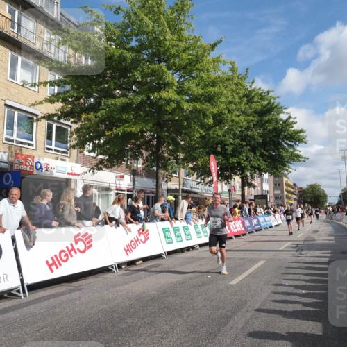 15.09.2024 - PSD Bank Halbmarathon Miley Keyser http://msf.ph/oto/7088196 15.09.2024 11:56:37 Ziel 775, 1327, 1445, 1690, 1700, 1706, 1707, 1859, 1973, 2494, 2900 meine-sportfotos.de
