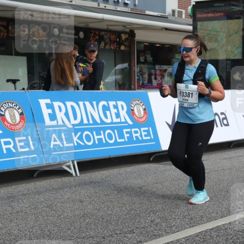 15.09.2024 - PSD Bank Halbmarathon Michael Strokosch http://msf.ph/oto/7088328 15.09.2024 12:38:52 Ziel 3123, 3332, 3333, 3381 meine-sportfotos.de