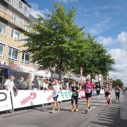 15.09.2024 - PSD Bank Halbmarathon Miley Keyser http://msf.ph/oto/7088440 15.09.2024 11:57:09 Ziel 977, 980, 1144, 1325, 1451, 1526, 1935, 2021, 2054, 2080, 2646, 2836, 2922 meine-sportfotos.de