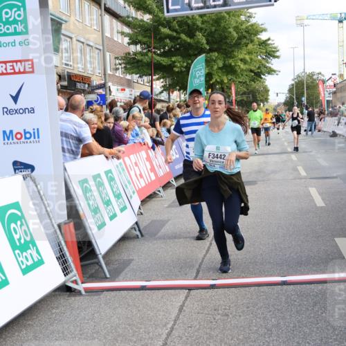 15.09.2024 - PSD Bank Halbmarathon Strokosch-Dieckow http://msf.ph/oto/7088560 15.09.2024 12:28:57 Ziel 2458, 2715, 3442 meine-sportfotos.de