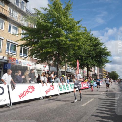 15.09.2024 - PSD Bank Halbmarathon Miley Keyser http://msf.ph/oto/7088561 15.09.2024 11:57:37 Ziel 978, 1281, 1289, 1431, 1505, 1647, 1827, 1920, 1987, 2141, 2510, 2905, 2929 meine-sportfotos.de