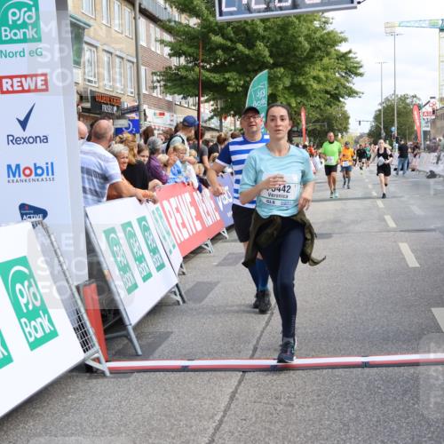 15.09.2024 - PSD Bank Halbmarathon Strokosch-Dieckow http://msf.ph/oto/7088589 15.09.2024 12:28:58 Ziel 2108, 2458, 2715, 3442 meine-sportfotos.de