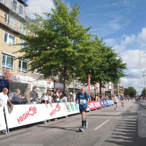 15.09.2024 - PSD Bank Halbmarathon Miley Keyser http://msf.ph/oto/7088599 15.09.2024 11:57:43 Ziel 806, 978, 1281, 1289, 1302, 1505, 1647, 1827, 1920, 1987, 2905, 2929, 3525 meine-sportfotos.de