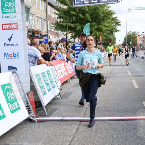 15.09.2024 - PSD Bank Halbmarathon Strokosch-Dieckow http://msf.ph/oto/7088618 15.09.2024 12:28:58 Ziel 2108, 2458, 2715, 3442 meine-sportfotos.de