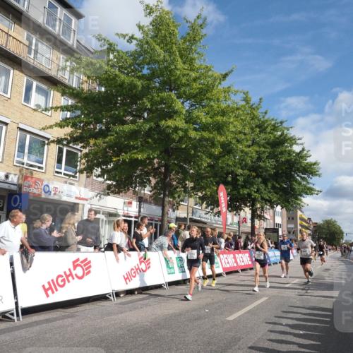15.09.2024 - PSD Bank Halbmarathon Miley Keyser http://msf.ph/oto/7088667 15.09.2024 11:57:58 Ziel 806, 975, 1302, 1417, 1449, 1530, 1708, 1900, 2512, 2542, 2564, 2572, 2664, 2751, 2763, 3525 meine-sportfotos.de
