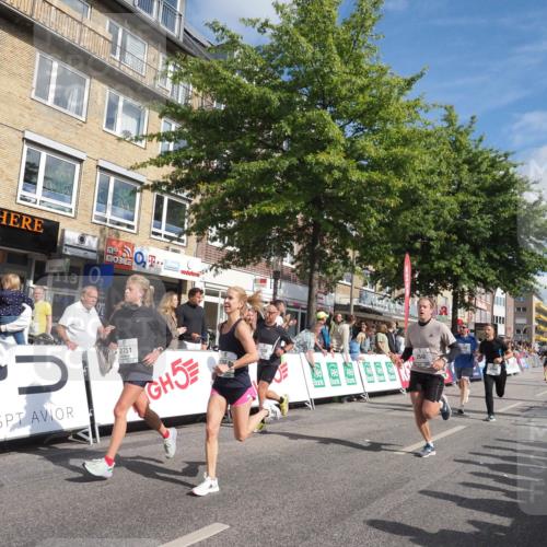 15.09.2024 - PSD Bank Halbmarathon Miley Keyser http://msf.ph/oto/7088677 15.09.2024 11:58:00 Ziel 806, 975, 1302, 1417, 1449, 1530, 1708, 1900, 2512, 2542, 2564, 2572, 2664, 2751, 2763, 3138, 3525 meine-sportfotos.de