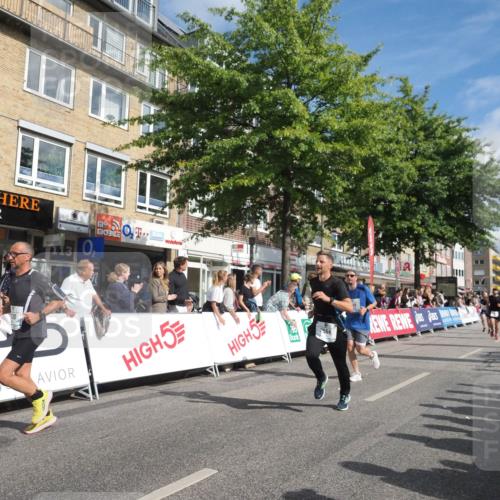 15.09.2024 - PSD Bank Halbmarathon Miley Keyser http://msf.ph/oto/7088687 15.09.2024 11:58:01 Ziel 806, 975, 1417, 1449, 1530, 1708, 1900, 2512, 2542, 2564, 2572, 2664, 2751, 2763, 2873, 3138, 3525 meine-sportfotos.de