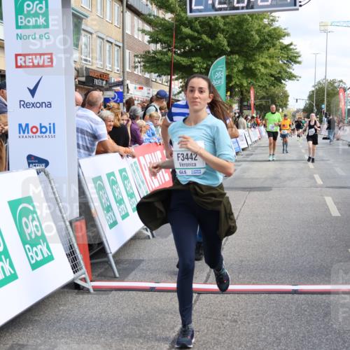 15.09.2024 - PSD Bank Halbmarathon Strokosch-Dieckow http://msf.ph/oto/7088692 15.09.2024 12:28:58 Ziel 2108, 2458, 2715, 3442 meine-sportfotos.de