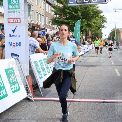 15.09.2024 - PSD Bank Halbmarathon Strokosch-Dieckow http://msf.ph/oto/7088735 15.09.2024 12:28:58 Ziel 2108, 2458, 2715, 3442 meine-sportfotos.de