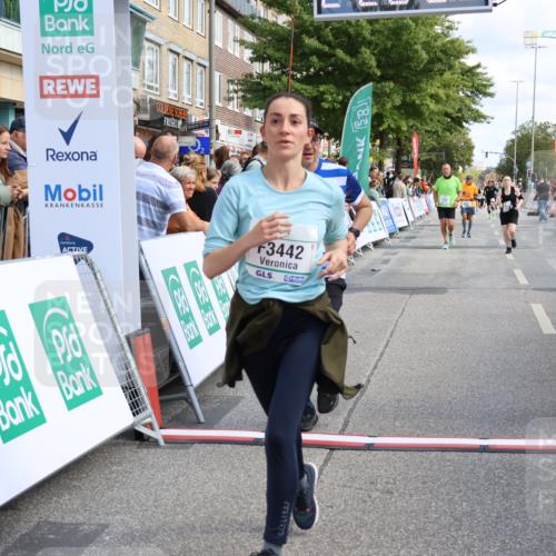 15.09.2024 - PSD Bank Halbmarathon Strokosch-Dieckow http://msf.ph/oto/7088749 15.09.2024 12:28:58 Ziel 2108, 2458, 2715, 3442 meine-sportfotos.de