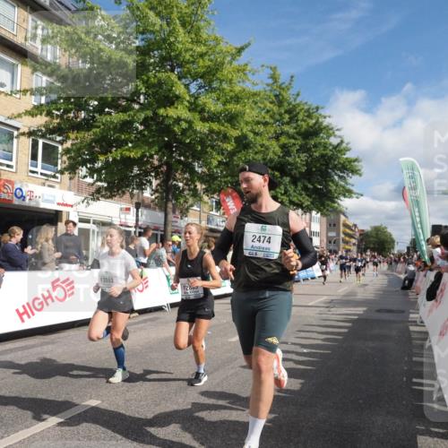 15.09.2024 - PSD Bank Halbmarathon Miley Keyser http://msf.ph/oto/7088885 15.09.2024 11:58:42 Ziel 1283, 1303, 1711, 1822, 1849, 1865, 1919, 1947, 1992, 2038, 2101, 2249, 2474, 2760, 2860, 2885, 3022, 3051, 3528, 3551, 3553 meine-sportfotos.de