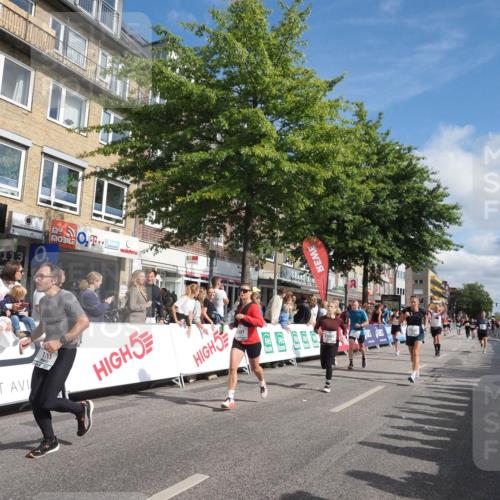 15.09.2024 - PSD Bank Halbmarathon Miley Keyser http://msf.ph/oto/7088938 15.09.2024 11:58:53 Ziel 1283, 1711, 1822, 1865, 1870, 1890, 1919, 1955, 1992, 2038, 2230, 2297, 2474, 2721, 2756, 2760, 2956, 3022, 3051, 3528, 3551 meine-sportfotos.de