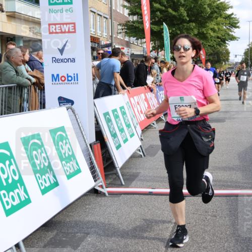 15.09.2024 - PSD Bank Halbmarathon Strokosch-Dieckow http://msf.ph/oto/7088984 15.09.2024 12:40:05 Ziel 2094, 2125, 2137, 3297 meine-sportfotos.de