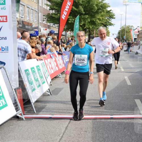15.09.2024 - PSD Bank Halbmarathon Strokosch-Dieckow http://msf.ph/oto/7089258 15.09.2024 12:29:12 Ziel 2076, 2108, 2157, 2288, 2715, 3057, 3247, 3255, 3266, 3287, 3325 meine-sportfotos.de