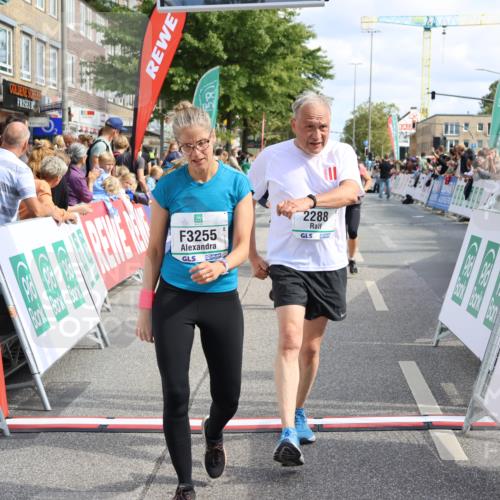 15.09.2024 - PSD Bank Halbmarathon Strokosch-Dieckow http://msf.ph/oto/7089275 15.09.2024 12:29:13 Ziel 2076, 2108, 2157, 2288, 2715, 3057, 3247, 3255, 3266, 3287, 3325 meine-sportfotos.de