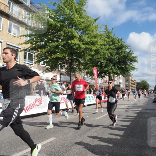 15.09.2024 - PSD Bank Halbmarathon Miley Keyser http://msf.ph/oto/7089667 15.09.2024 12:01:01 Ziel 1362, 1492, 1732, 1755, 1769, 1782, 1792, 1868, 1880, 1899, 1969, 2223, 2248, 2293, 2772, 2813, 2824, 2875, 2910, 2928, 2952, 2953, 2961, 3023, 3088, 3171 meine-sportfotos.de