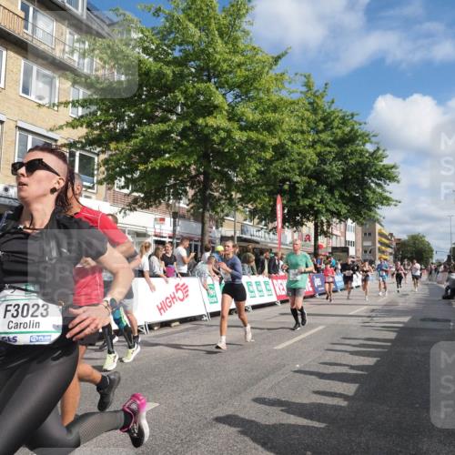 15.09.2024 - PSD Bank Halbmarathon Miley Keyser http://msf.ph/oto/7089671 15.09.2024 12:01:02 Ziel 1362, 1492, 1732, 1755, 1769, 1782, 1792, 1868, 1880, 1899, 1969, 2223, 2293, 2682, 2772, 2813, 2824, 2875, 2910, 2928, 2952, 2953, 2961, 3023, 3088, 3171 meine-sportfotos.de