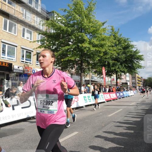 15.09.2024 - PSD Bank Halbmarathon Miley Keyser http://msf.ph/oto/7090030 15.09.2024 12:02:06 Ziel 1286, 1529, 1779, 1826, 1906, 2012, 2069, 2159, 2736, 2740, 2792, 2909, 2927, 2990, 2992, 3212, 3484 meine-sportfotos.de
