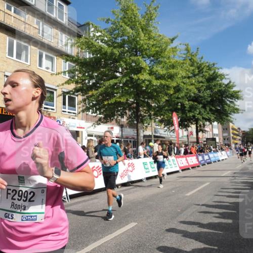 15.09.2024 - PSD Bank Halbmarathon Miley Keyser http://msf.ph/oto/7090031 15.09.2024 12:02:07 Ziel 1286, 1529, 1779, 1826, 1906, 2012, 2069, 2159, 2736, 2740, 2792, 2909, 2927, 2990, 2992, 3212, 3484 meine-sportfotos.de