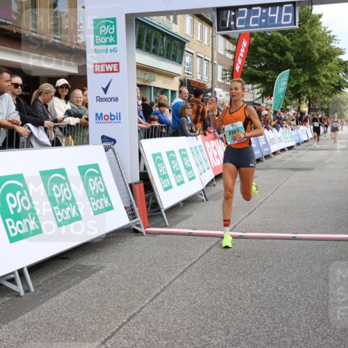 15.09.2024 - PSD Bank Halbmarathon Strokosch-Dieckow http://msf.ph/oto/7090466 15.09.2024 11:23:37 Ziel 650, 663, 679, 683, 879, 881, 1028 meine-sportfotos.de