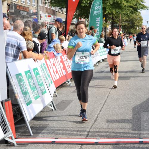 15.09.2024 - PSD Bank Halbmarathon Strokosch-Dieckow http://msf.ph/oto/7090525 15.09.2024 12:30:09 Ziel 2093, 2291, 2454, 3055, 3091, 3270, 3334, 3362, 3385 meine-sportfotos.de