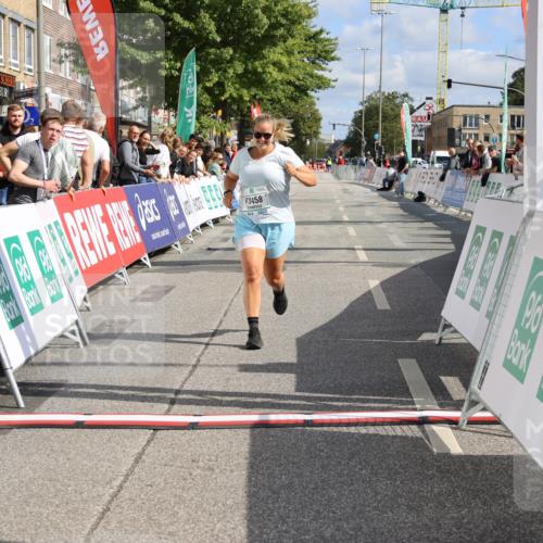 15.09.2024 - PSD Bank Halbmarathon Strokosch-Dieckow http://msf.ph/oto/7090557 15.09.2024 12:45:36 Ziel 3458 meine-sportfotos.de