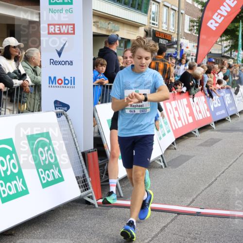 15.09.2024 - PSD Bank Halbmarathon Strokosch-Dieckow http://msf.ph/oto/7090716 15.09.2024 11:32:48 Ziel 731, 911, 936, 1135, 1141, 1447, 2478, 2608, 2649 meine-sportfotos.de