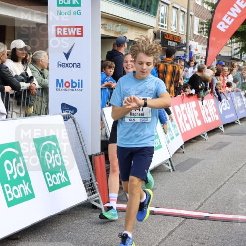 15.09.2024 - PSD Bank Halbmarathon Strokosch-Dieckow http://msf.ph/oto/7090720 15.09.2024 11:32:48 Ziel 731, 911, 936, 1135, 1141, 1447, 2478, 2608, 2649 meine-sportfotos.de