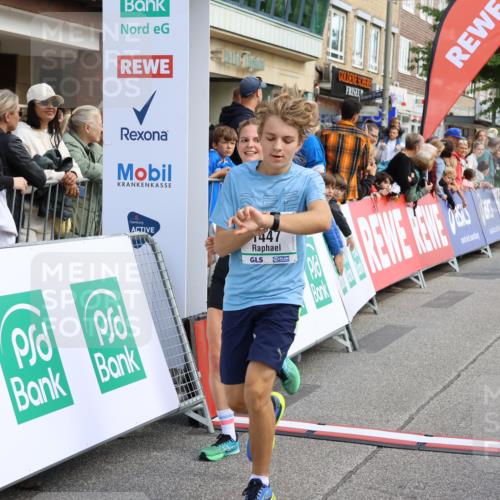 15.09.2024 - PSD Bank Halbmarathon Strokosch-Dieckow http://msf.ph/oto/7090726 15.09.2024 11:32:48 Ziel 731, 911, 936, 1135, 1141, 1447, 2478, 2608, 2649 meine-sportfotos.de