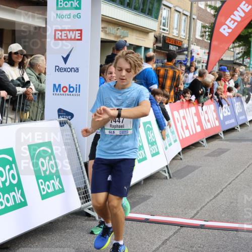 15.09.2024 - PSD Bank Halbmarathon Strokosch-Dieckow http://msf.ph/oto/7090729 15.09.2024 11:32:48 Ziel 731, 911, 936, 1135, 1141, 1447, 2478, 2608, 2649 meine-sportfotos.de