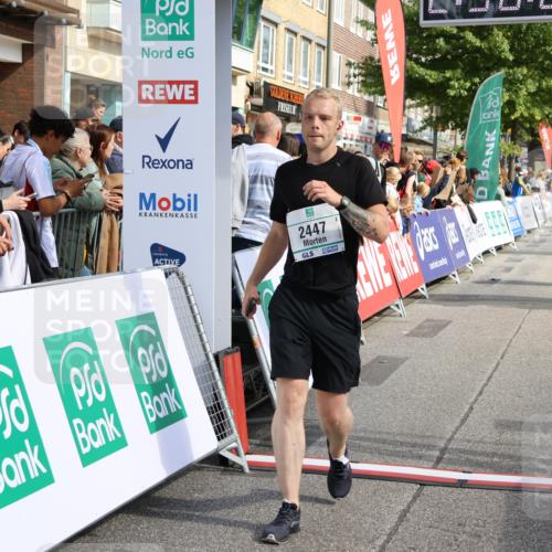 15.09.2024 - PSD Bank Halbmarathon Strokosch-Dieckow http://msf.ph/oto/7090757 15.09.2024 12:30:52 Ziel 2251, 2299, 2447, 3206, 3261, 3276, 3346 meine-sportfotos.de