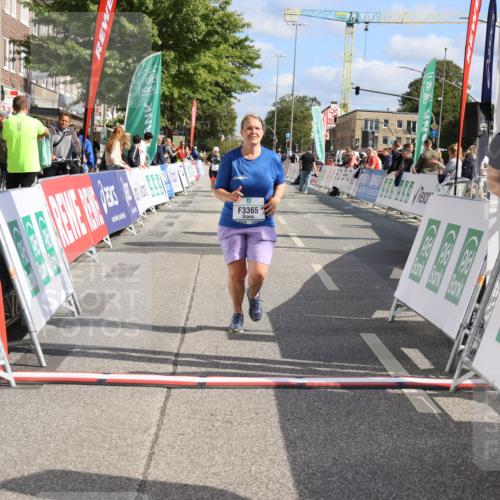 15.09.2024 - PSD Bank Halbmarathon Strokosch-Dieckow http://msf.ph/oto/7090858 15.09.2024 12:50:32 Ziel 3365 meine-sportfotos.de