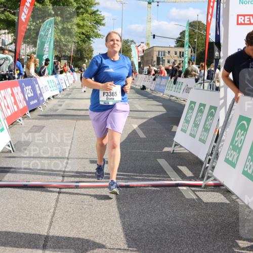 15.09.2024 - PSD Bank Halbmarathon Strokosch-Dieckow http://msf.ph/oto/7090864 15.09.2024 12:50:33 Ziel 3365 meine-sportfotos.de