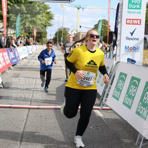 15.09.2024 - PSD Bank Halbmarathon Strokosch-Dieckow http://msf.ph/oto/7091134 15.09.2024 12:56:56 Ziel 2459, 2460, 3487 meine-sportfotos.de