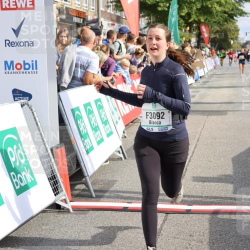 15.09.2024 - PSD Bank Halbmarathon Strokosch-Dieckow http://msf.ph/oto/7091408 15.09.2024 12:19:42 Ziel 1828, 3092, 3103, 3373 meine-sportfotos.de