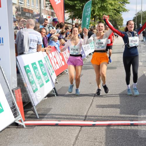 15.09.2024 - PSD Bank Halbmarathon Strokosch-Dieckow http://msf.ph/oto/7091450 15.09.2024 12:20:02 Ziel 1613, 2025, 2867, 2903, 3394, 3436 meine-sportfotos.de