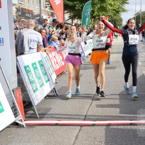 15.09.2024 - PSD Bank Halbmarathon Strokosch-Dieckow http://msf.ph/oto/7091454 15.09.2024 12:20:02 Ziel 1613, 2025, 2867, 2903, 3394, 3436 meine-sportfotos.de