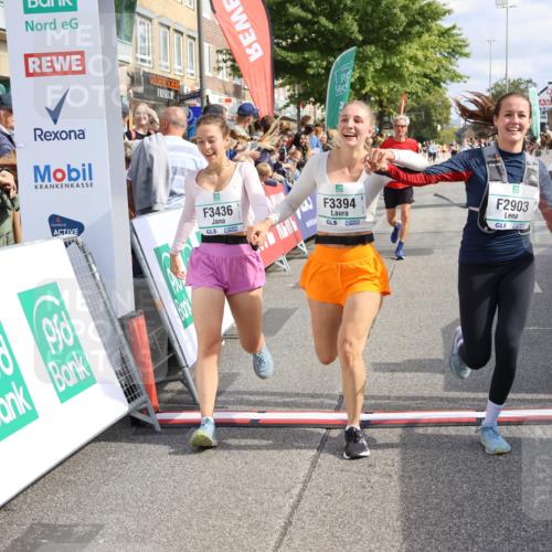 15.09.2024 - PSD Bank Halbmarathon Strokosch-Dieckow http://msf.ph/oto/7091511 15.09.2024 12:20:03 Ziel 1613, 2025, 2867, 2903, 3394, 3436 meine-sportfotos.de