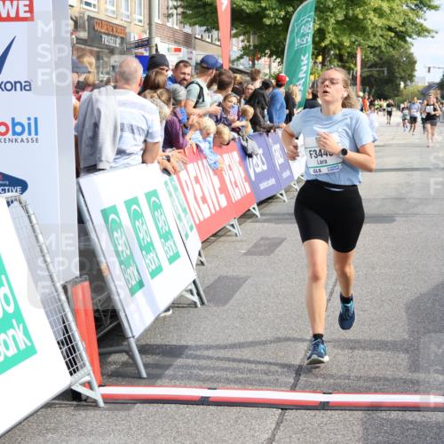 15.09.2024 - PSD Bank Halbmarathon Strokosch-Dieckow http://msf.ph/oto/7091559 15.09.2024 12:20:13 Ziel 2025, 2903, 3394, 3436, 3440 meine-sportfotos.de