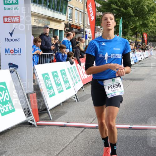 15.09.2024 - PSD Bank Halbmarathon Strokosch-Dieckow http://msf.ph/oto/7091733 15.09.2024 11:35:33 Ziel 740, 766, 771, 919, 1044, 1207, 1221, 1418, 1448, 2479, 2619, 2656 meine-sportfotos.de