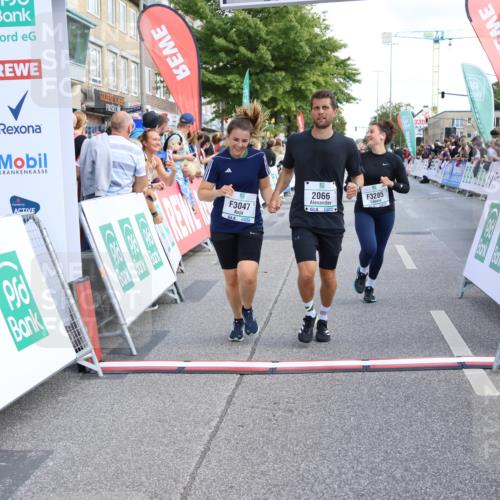 15.09.2024 - PSD Bank Halbmarathon Strokosch-Dieckow http://msf.ph/oto/7091919 15.09.2024 12:21:29 Ziel 2066, 3047, 3285 meine-sportfotos.de