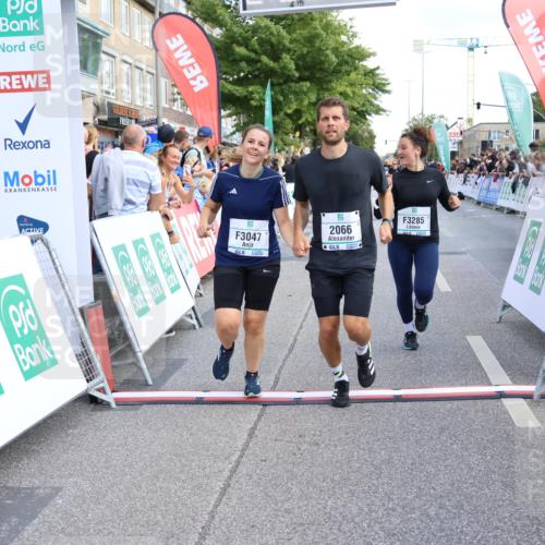 15.09.2024 - PSD Bank Halbmarathon Strokosch-Dieckow http://msf.ph/oto/7091940 15.09.2024 12:21:29 Ziel 2066, 3047, 3285 meine-sportfotos.de