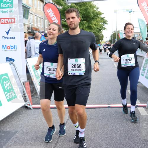 15.09.2024 - PSD Bank Halbmarathon Strokosch-Dieckow http://msf.ph/oto/7091987 15.09.2024 12:21:30 Ziel 2066, 3047, 3285 meine-sportfotos.de