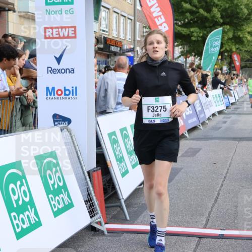 15.09.2024 - PSD Bank Halbmarathon Strokosch-Dieckow http://msf.ph/oto/7092178 15.09.2024 12:21:57 Ziel 2131, 2254, 2951, 3269, 3275 meine-sportfotos.de