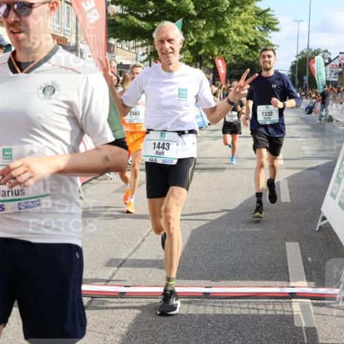 15.09.2024 - PSD Bank Halbmarathon Strokosch-Dieckow http://msf.ph/oto/7092231 15.09.2024 11:43:39 Ziel 1190, 1273, 1279, 1299, 1322, 1332, 1377, 1443, 1545, 1653, 1901, 2488, 2565, 2637, 2641 meine-sportfotos.de