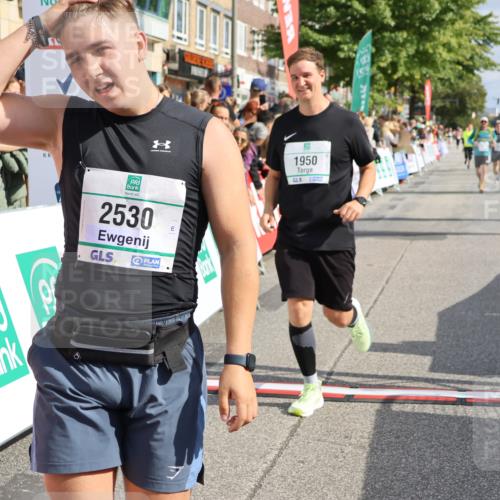 15.09.2024 - PSD Bank Halbmarathon Strokosch-Dieckow http://msf.ph/oto/7092307 15.09.2024 12:15:16 Ziel 798, 1544, 1950, 2118, 2390, 2530, 2557, 3000, 3052, 3168 meine-sportfotos.de