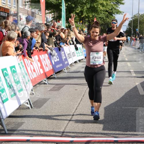15.09.2024 - PSD Bank Halbmarathon Strokosch-Dieckow http://msf.ph/oto/7092463 15.09.2024 12:15:49 Ziel 2097, 2234, 2318, 3186, 3353, 3548 meine-sportfotos.de