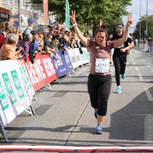 15.09.2024 - PSD Bank Halbmarathon Strokosch-Dieckow http://msf.ph/oto/7092472 15.09.2024 12:15:49 Ziel 2097, 2234, 2318, 3186, 3353, 3548 meine-sportfotos.de